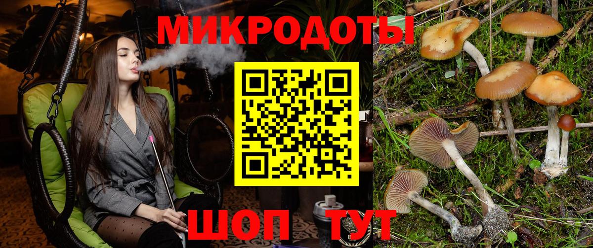 Галлюциногенные грибы мицелий Коммунар